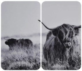 Kryty na sporák v súprave 2 ks z tvrdeného skla 30x52 cm Universal Highland Cattle – Wenko