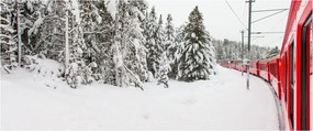 Obraz - Vlak v zasneženej krajine (120x50 cm)