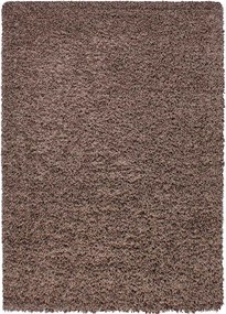 Koberce Breno Kusový koberec DREAM SHAGGY 4000 Mocca, hnedá, viacfarebná,120 x 170 cm