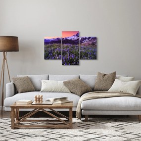 Obraz - Sopka a kvety (90x60 cm)