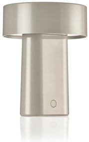 Sivobéžová plastová LED stolová lampa (výška 18 cm) Oblong – Zone
