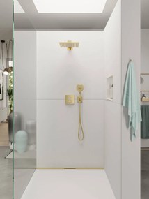 Hansgrohe Raindance Select E, ručná sprcha 120 3jet, leštený vzhľad zlata, HAN-26520990