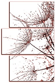 Obraz na plátne - Pampeliškové semienka s kvapkami vody - obdĺžnik 7202KD (120x80 cm)