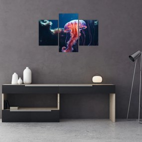 Obraz - Medúzka (90x60 cm)