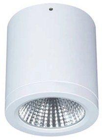 Prisadené LED downlight Button Mini 100 55° 16 W