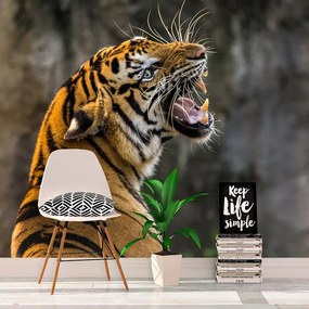 Sablio Tapeta Revúci tiger - 125x75 cm
