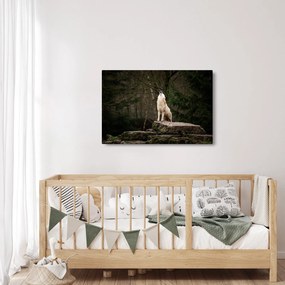Obraz - Vytie vlka (90x60 cm)