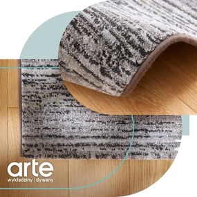 Koberec Ragolle Argentum 63849 9293