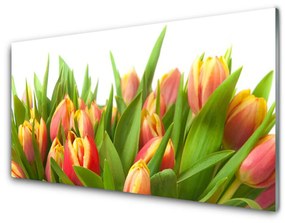 Obraz plexi Tulipány kvety rastlina 100x50 cm