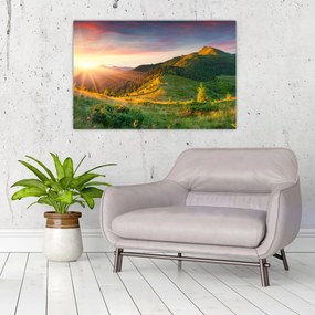 Obraz - Letná krajina (90x60 cm)