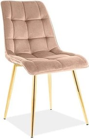 Čalúnená jedálenská stolička Chic Gold Velvet béžová