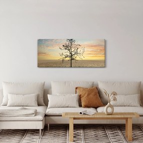 Obraz - Strom na púšti (120x50 cm)