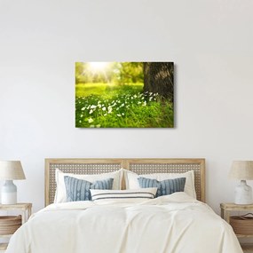 Obraz paseky a kvetín (90x60 cm)