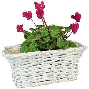 Prútený truhlík biely Rozmery (cm): 34x17, ma. 15