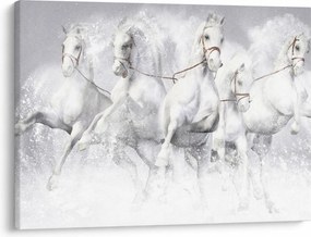 Obraz - Ilustrácie závodných koní (70x50 cm)