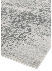Sivý koberec 120x170 cm Nova – Asiatic Carpets