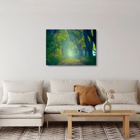 Sklenený obraz cesty lemovanej stromami (70x50 cm)