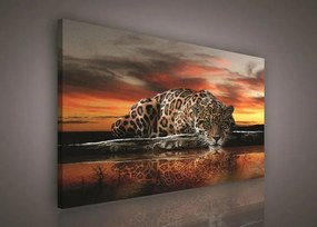 Obraz na stenu jaguár 100 x 75 cm