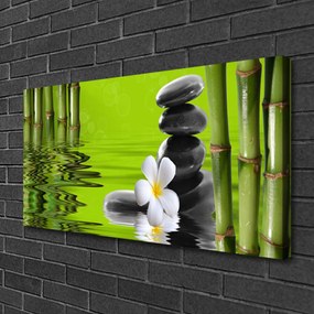 Obraz na plátne Bambus kamene rastlina 120x60 cm