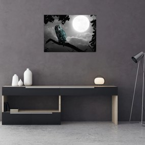 Obraz - Nočná sova, modrá (70x50 cm)