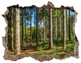 Fotoobraz díra na stěnu Panorama lesné nd-k-93946389