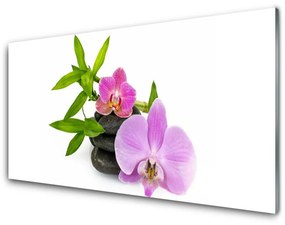 Sklenený obklad Do kuchyne Kvet kamene rastlina 100x50 cm