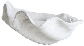 Dekoratívna misa z polyresínu 33x27 cm Shell – Mette Ditmer Denmark
