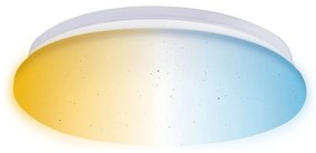 Aigostar - LED Kúpeľňové stropné svietidlo LED/18W/230V IP44 + diaľkové ovládanie