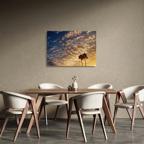 Sklenený obraz - Palmy medzi mrakmi (70x50 cm)
