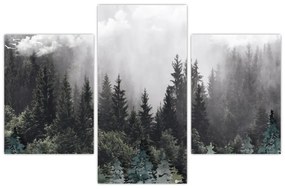 Obraz - Les s ilustrovanými prvkami (90x60 cm)