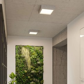 Stropné LED svietidlo Riza, 1x LED 18w, 3000k, betón