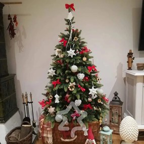 Smrek Tajga 3D 180 cm