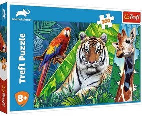 Puzzle Trefl Úžasné zvieratá 300 dielikov 60x40cm v krabici 40x27x4,5cm
