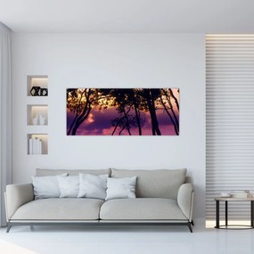 Obraz - Stromy pri západe slnka (120x50 cm)