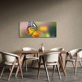 Obraz motýľa na kvete (120x50 cm)