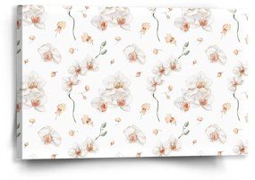 Sablio Obraz Biela orchidea - 60x40 cm