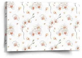 Sablio Obraz Biela orchidea - 60x40 cm