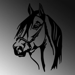Horse Head