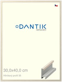 DANTIK rám na obraz 30x40 | ALU Dýha slonová kost (Plexi Čiré)