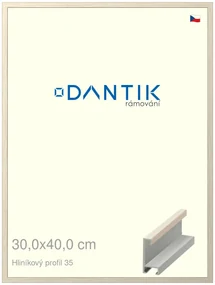 DANTIK rám na obraz 30x40 | ALU Dýha slonová kost (Plexi Čiré)
