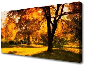Obraz Canvas Stromy jeseň príroda 120x60 cm