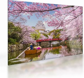 Sklenený obraz japonskej čerešne (70x50 cm)