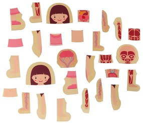 KIK Dřevěné vrstvené puzzle tělesné stavby montessori dívka