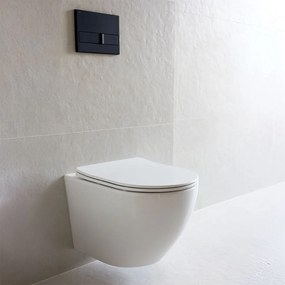 Geberit Geberit, závesný set pod omietku Duofix Delta + závesná WC misa Desna s toaletným sedadlom z duroplastu, Vortex splachovanie, biela lesklá, LAV-SETDESNAGEB