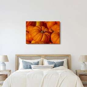 Obraz - Veľké tekvice (90x60 cm)