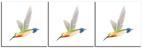 Obraz na plátne - Kolibrík na bielom pozadí - panoráma 589B (120x40 cm)