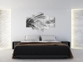 Obraz - Púpava (150x105 cm)