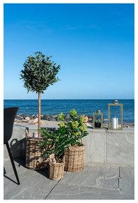 Umelá rastlina (výška 60 cm) Fig – House Nordic