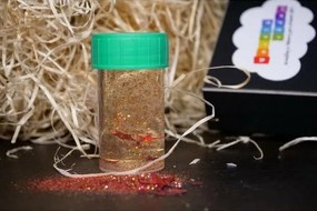 Rappa Veselá věda - Zimní experimenty (Fun Science- Winter Experiments)