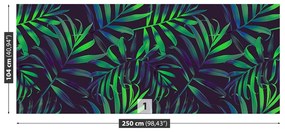 Fototapeta Vliesová Palmové listy 152x104 cm